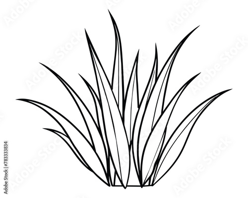 A bunch of grass vector illustration