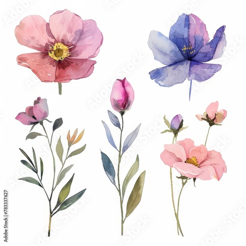 set of watercolor flowers