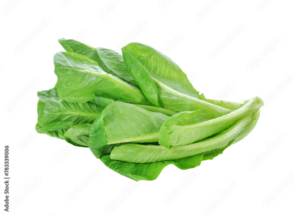 fresh cos lettuce transparent png fresh cos lettuce transparent png
