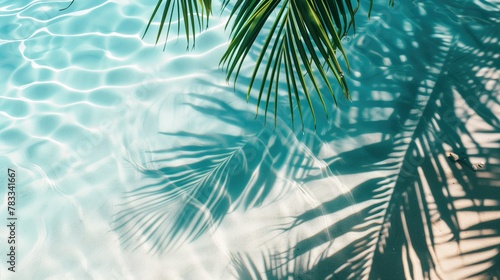 Top view of tropical leaf shadow on water surface. Shadow of palm leaves on white sand beach. Beautiful abstract background concept banner for summer vacation at the beach