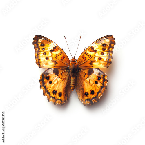 Yellow Butterfly With Brown Spots. Generative AI