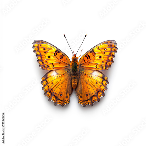 Yellow Butterfly With Orange Markings. Generative AI