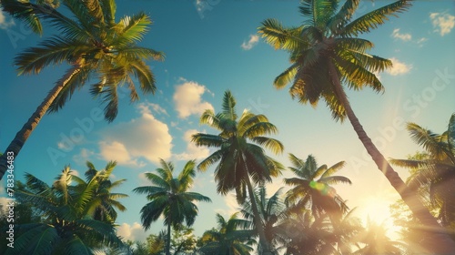 Sun rays filtering through the tall coconut trees with green leaves and blue sky in the background in a realistic painting style