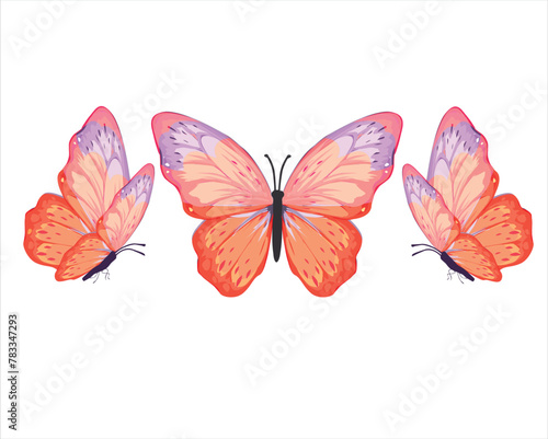 orange butterfly three orngee dark.eps