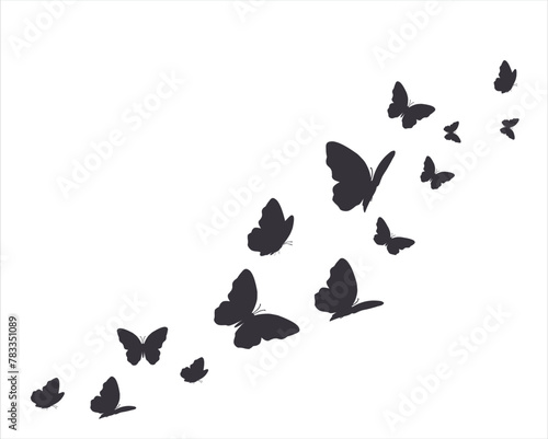 orange butterfly CARMELA BLACK.eps