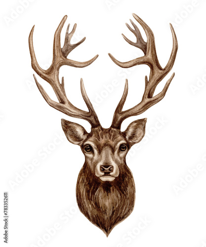 Brown Deer head watercolor hand painted illustration. Monochrome isolated wild woodland animal image. Horned Reindeer portrait for product design for brutal men.