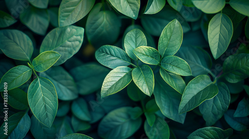 A close up of green leaves with a lush green background