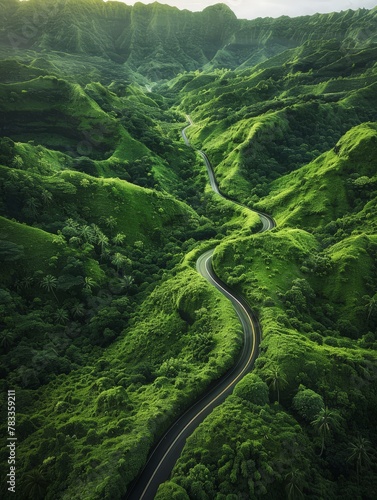 A winding road in a lush green valley