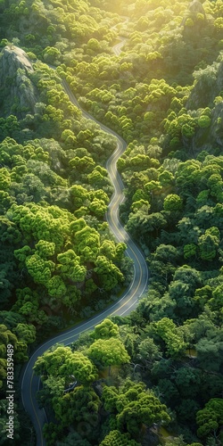 A winding road through forest
