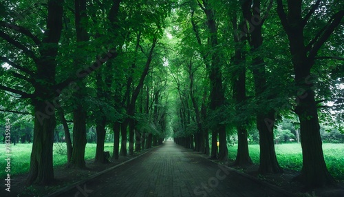 park mit tunnelartiger lindenallee im fruhling frisches grunes laub photo