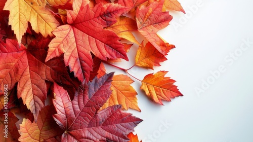 A Pile of Leaves on Top of a Piece of Paper