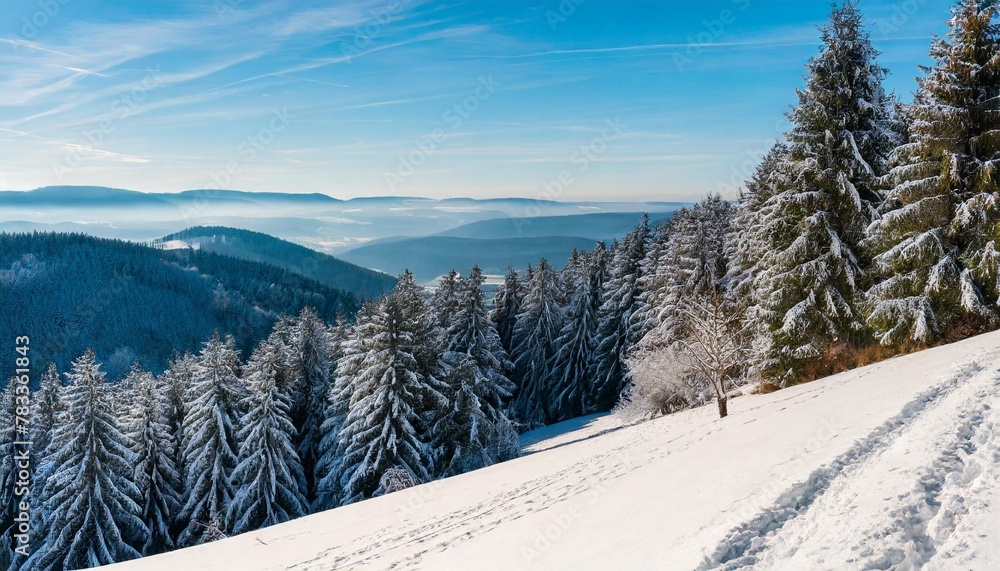 snowy forest landscape on a mountainside during winter in germany