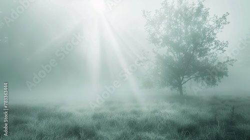 ethereal white fog effect dreamy and mystical atmosphere in soft focus