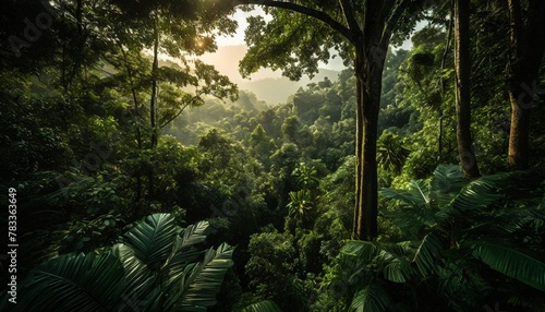earth day eco concept with tropical forest background natural forestation preservation scene with canopy tree in the wild concept on sustainability and environmental renewable