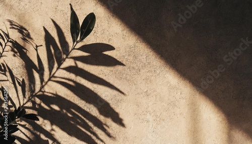 minimalist aesthetic sun light shadows of plant leaves elegant foliage silhouette on neutral beige concrete wall background copy space