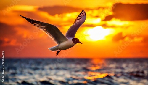 sunset bird flying ocean flight colorful divine inspirational beautiful surreal vertical image © Michelle
