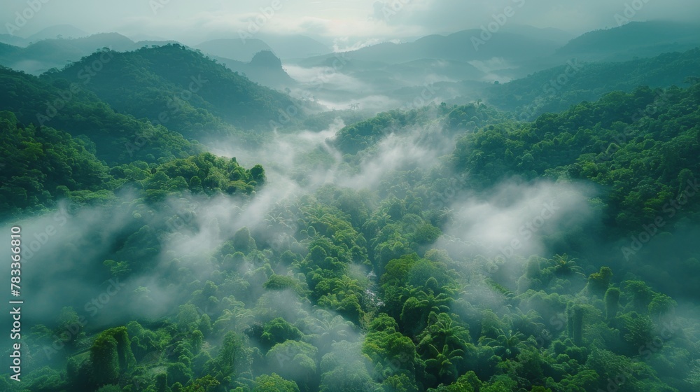 Obraz premium Aerial View of Lush Green Forest