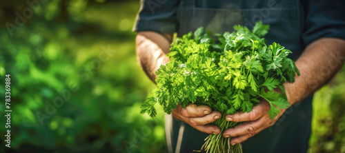 A close-up of a farmer's hand gently tending to a bed of organic herbs and vegetables, emphasizing the connection between nature and healthy food. photo