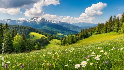 idyllic mountain landscape with fresh green meadows and blooming wildflowers idyllic nature countryside view rural outdoor natural view idyllic banner nature panoramic spring summer scenery © Leila