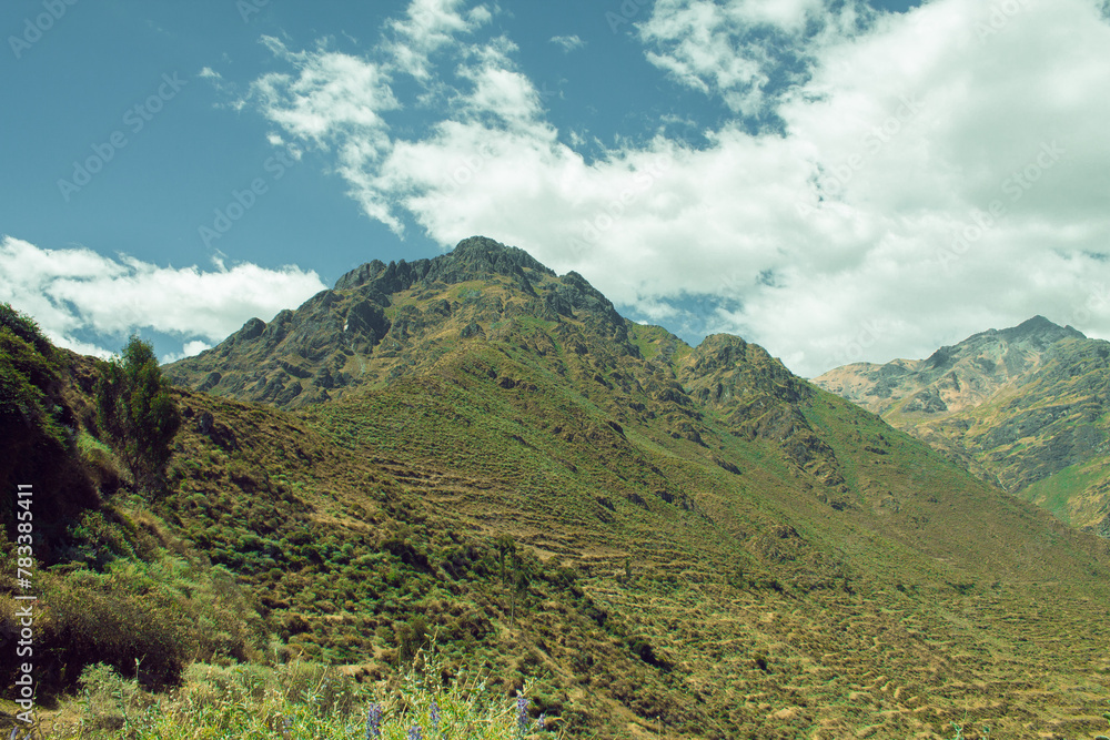 Naklejka premium Paisajes Andinos