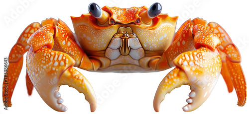 a close up of a crab with a large body. Transparent Background PNG