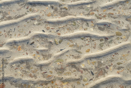 Sand and water of the sea coast
