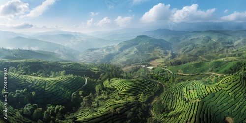 agricultural fields bird's eye view Generative AI