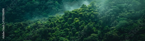 Forest Mountain, Forest-covered mountain with deep green foliage