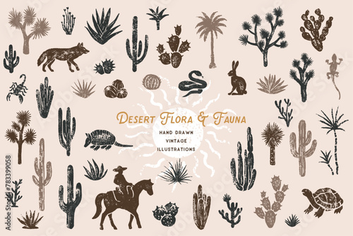 Vintage Desert Illustrations