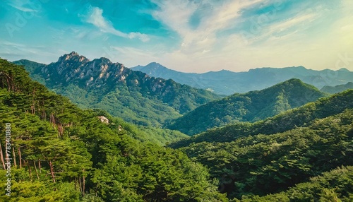 summer mountain forest in south korea