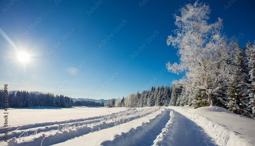 winter background christmas nature