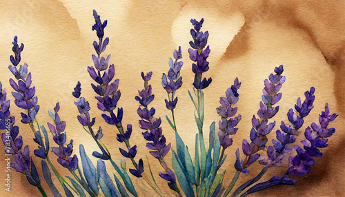 Lavender Watercolor Flowers