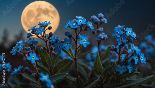 Charming forget-me-nots in a twilight gradient, whispering secrets under the light of the moon.