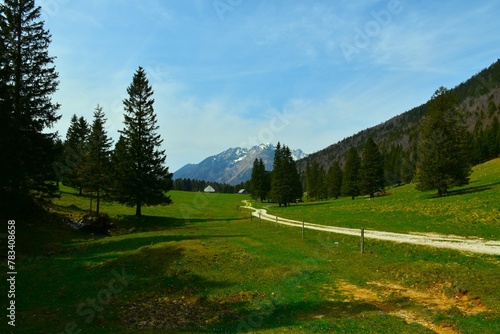 View of Dol mountain pasture and Kalški Greben mountain in Slovenia