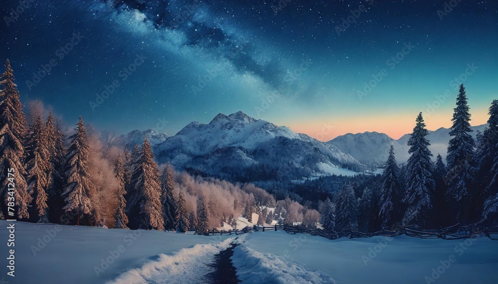 night winter landscape