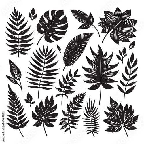 Silhouette set of Tropical leaves