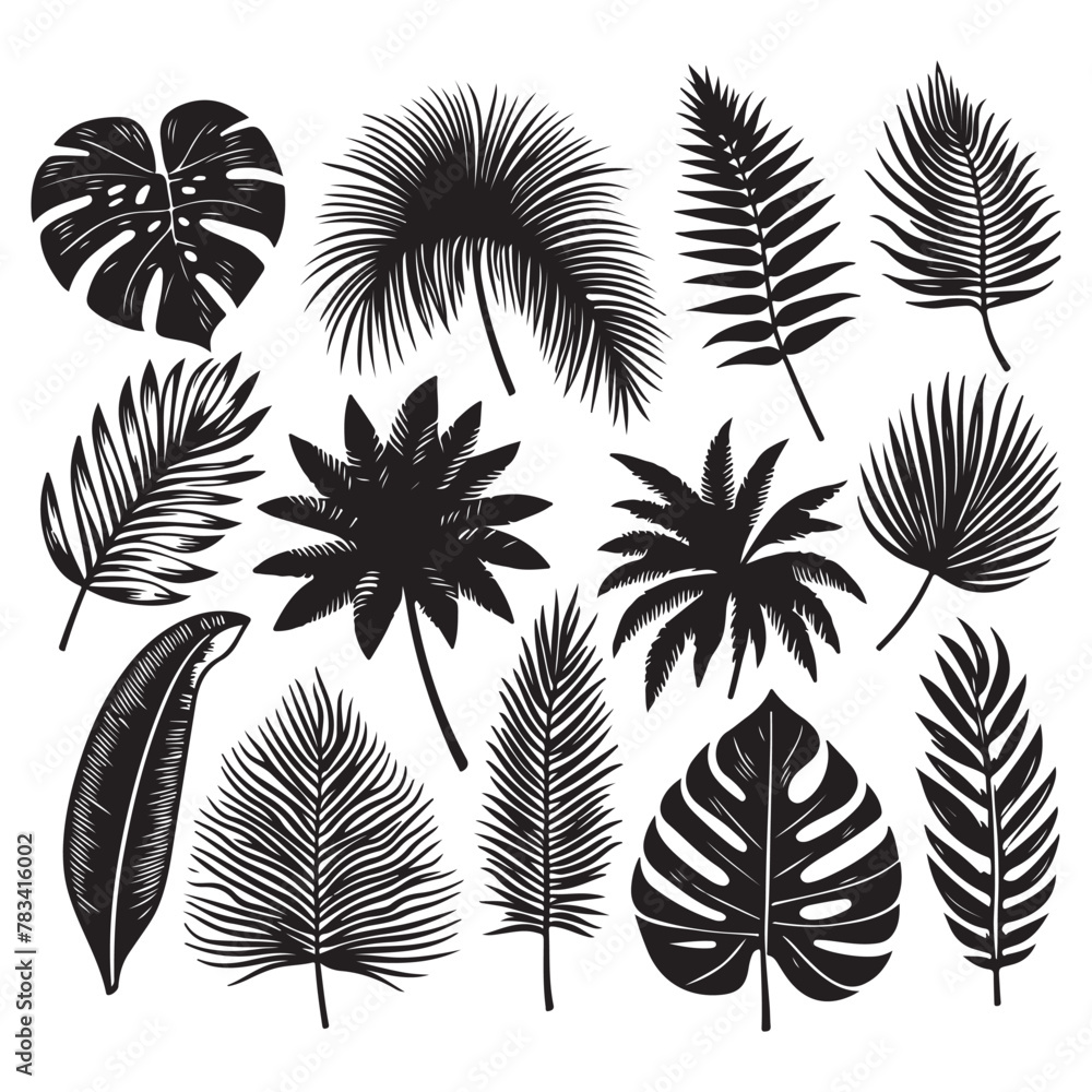 Silhouette set of Tropical leaves