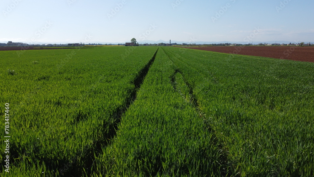 Breathtaking panorama from the drone, San Giuliano Vecchio, Alessandria, Piedmont, Italy Breathtaking panorama from the drone, San Giuliano Vecchio, Alessandria, Piedmont, Italy