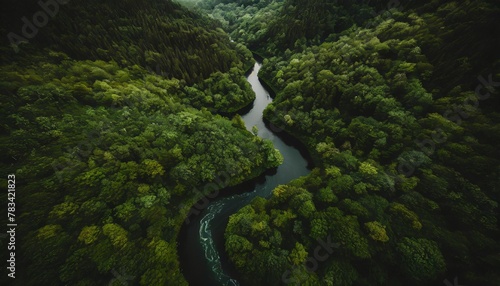 unique aerial view of a winding river cutting through a vibrant green forest save the planet concept world enviroment day generative ai