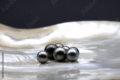 Expensive and luxurious Tahiti black pearls in a white shell on black background, ready to be made into earrings, pendants or necklaces and sold in jewelry store.