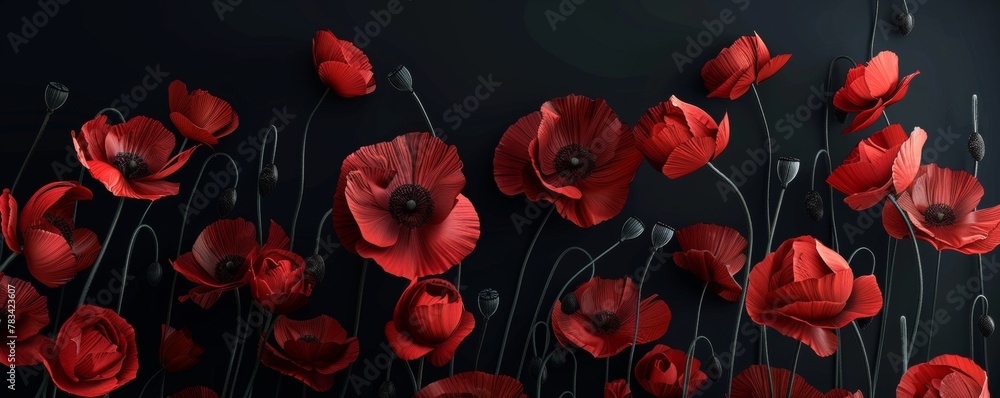 Elegant Red Poppies on a Dark Background Elegant Red Poppies on a Dark Background