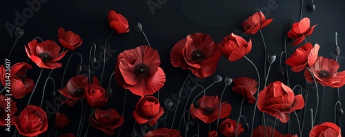Elegant Red Poppies on a Dark Background