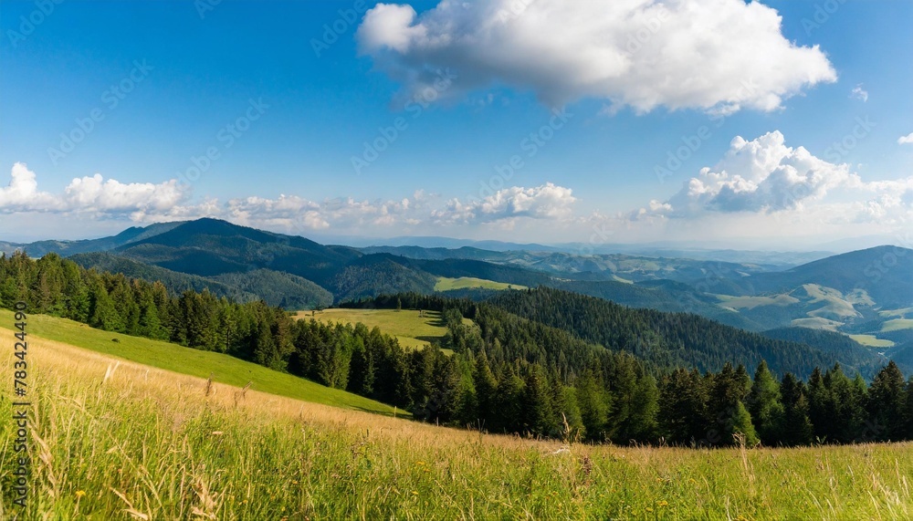 beautiful panorama of the pieniny mountains