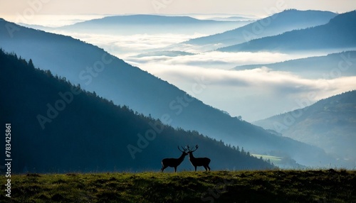 misty deer silhouette landscape © Aedan