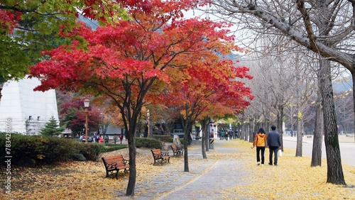 가을 공원 풍경, 단풍과 산책로