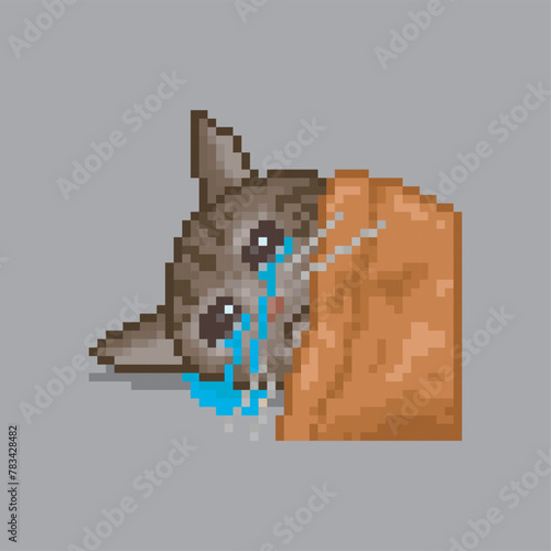 Cat crying under the sheet, pixel art meme