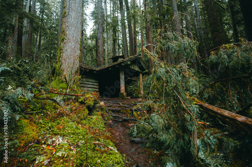 Light mossy covered wood shelter in the forest near Sol Duc Falls Trail in Olympic National Park  Washington  USA