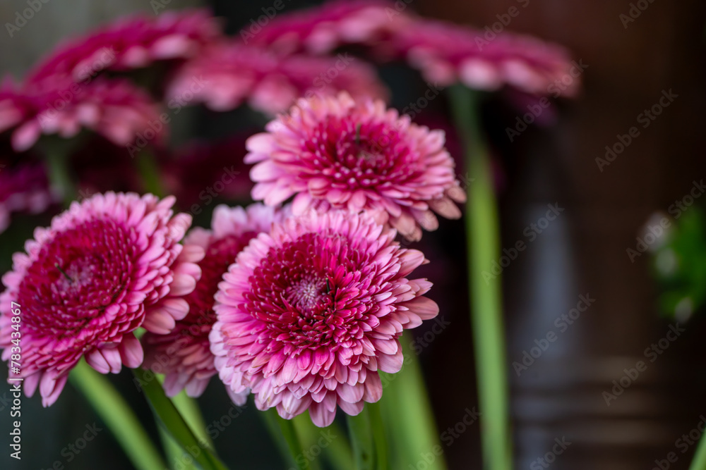 Fototapeta premium Blumen und Sträuße für Muttertag