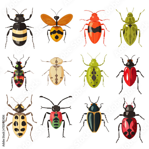 Insect collection isolated on transparent background © Minimal Blue