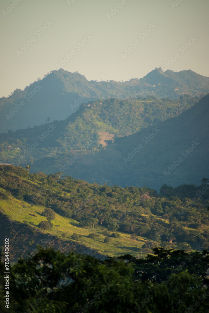 Obraz premium Vertical shot of hilly green landscape with some trees at dawn 